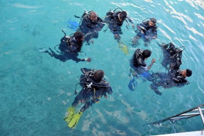 ޑައިވީނަށް ގޮސްއުޅުނު ޗައިނާ ޓޫރިސްޓަކު މަރުވެއްޖެ