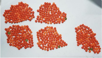 ދެލައްކައަށްވުރެ ގިނަ ރުފިޔާގެ ޕާޓީ ޑްރަގްސް އަތުލައިގެންފި