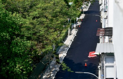 އަމީނީމަގުން ނެގި ގަސްތަކުގެ ބަދަލުގައި އަލަށް 45 ގަސް އިންދައިފި