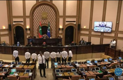 ކޮމިޓީތައް އެކުލަވާލިޔަ ނުދީ ހަޅޭއްލަވައި ޖަލްސާ ހުއްޓުވައިފި
