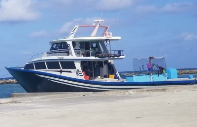 ތޫނު ހަތިޔާރާ އެކު މަސް ދޯންޏަށް އެރި އެންމެން ދޫކޮށްލައިފި