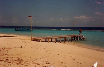 އީވާގެ އަލްބަމުން އަގުބޮޑު ސޮނެވާފުށި