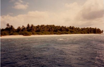 އީވާގެ އަލްބަމުން އަގުބޮޑު ސޮނެވާފުށި