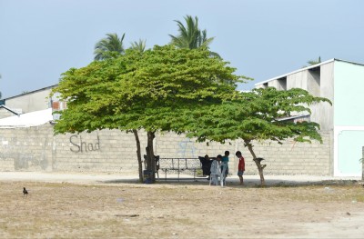 އަނބިމީހާ އަށް އަނިޔާކުރި މައްސަލައެއް ބަލަނީ