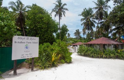 ދަނޑުވެރިކަމަށް ދޫކުރި އައިދޫގައި ގެސްޓް ހައުސް ހިންގާ މައްސަލަ ބަލަނީ