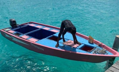 ހަތަރު މީހުންނާއެކު ގެއްލުނު ޑިންގީ ފެނިއްޖެ