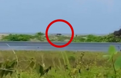 މާފަރުން ގޮތް ނޭނގޭ ބޮޑު ޖަނަވާރެއް ފެނިގެން ރަށް ބިރުވެރިކަމެއްގައި!