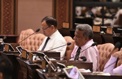 ބަޖެޓު އަނބުރާ ގެންގޮސް ކުޑަކޮށްފައި ފޮނުވާ: ސަލީމް