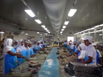 މަހުގެ އުފެއްދުންތައް ތައްޔާރުކުރަން ދަސްކޮށްދެނީ