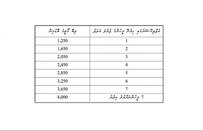 ގޯތި ލިބޭ މީހުންނާ ޖޮއިންޓްވެގެން ގޯތި ކަށަވަރުކުރެވޭ ގޮތް ހަދައިފި