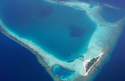 އއ. މާގާ ވިއްކާލަން ބިޑަށް ހުޅުވާލައިފި