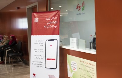 ޓްރީ ޓޮޕްގައި އެންސްޕާ އާއި ވިރާގެ ކައުންޓަރެއް