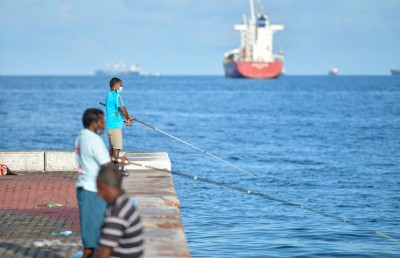 މަސްވެރިންގެ ލޮލަށް ބުޅި! މި އަނިޔާ އާންމުވަނީ!