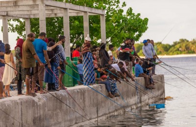 މަސްވެރިންގެ ލޮލަށް ބުޅި! މި އަނިޔާ އާންމުވަނީ!