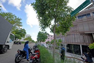 ހުޅުމާލޭގައި ބިދޭސީންނަށް ހަމަލާދިން މައްސަލައިގައި ހަތް ވަނަ މީހަކު ހައްޔަރުކޮށްފި