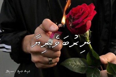 ނިރުބަވެރިޔާ - 4