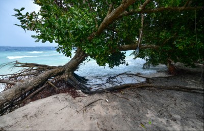 މޫސުމީ ނޭދެވޭ އަސަރު ކުޑަކުރުމަށް ރާއްޖެއިން ފިޔަވަޅު އަޅަން ވަނީ މަޖުބޫރުވެފައި: ރައީސް