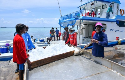މަސްވެރިންނަށް އައިސް ވިއްކާ އަގު ހެޔޮކޮށްފި