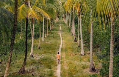 ޗުއްޓީގައި މިހާރު އޮތީ އަތޮޅު ބުރު ޖެހުން!