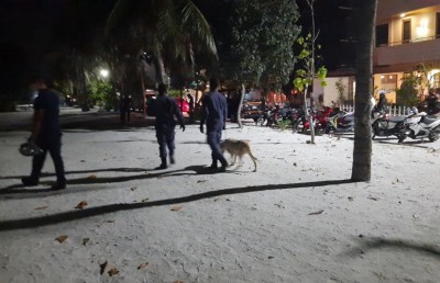 ޑްރަގްސް ބޭނުންކުރާ މީހުން ހޯދަން ކުއްތާއާ އެކު ފުލުހުން ހުޅުމާލެ ބީޗަށް