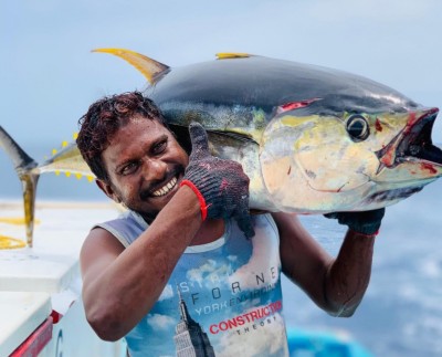 މަސް ގަންނަ ފަރާތްތަކުގެ ސްޓޯރޭޖް އިތުރު ކުރުމަށް ސަރުކާރުން އެހީވަނީ
