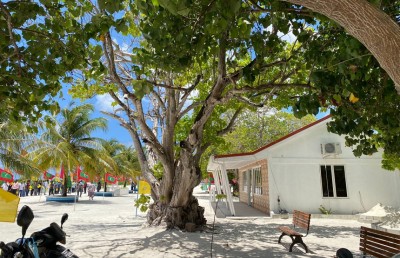 ފައިނުން ބުނަނީ މިއީ "އާބާދީއަށް ވުރެން ވެސް ހައްގު މިންވަރެއް" ކަމަށް