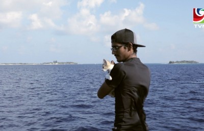 ނާއިލްގެ ހަޔާތުގެ ކުރު 22 އަހަރުން، 44 ދުވަސް