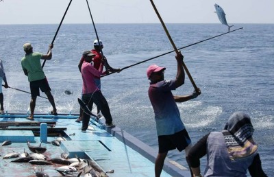 ކަންނެލީގެ އެންމެ ކުޑަ އަގު ކަނޑައަޅަން ކެންޑިޑޭޓުން ވައުދުވާތީ ކަންބޮޑުވުން ފާޅުކޮށްފި