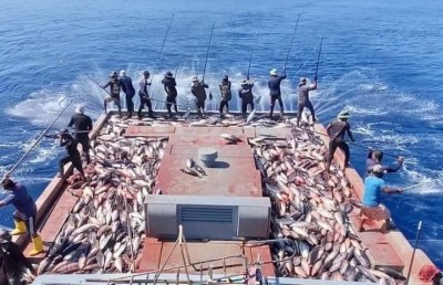 ކަންނެލީގެ އެންމެ ކުޑަ އަގު ކަނޑައަޅަން ކެންޑިޑޭޓުން ވައުދުވާތީ ކަންބޮޑުވުން ފާޅުކޮށްފި