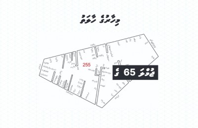 އިލްޔާސް ހުށަހަޅުއްވަނީ މާލޭގެ ތޮއްޖެހުން ކުޑަވެ، ގެދޮރު ވެސް ލިބޭނެ ހައްލެއް