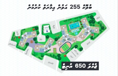 އިލްޔާސް ހުށަހަޅުއްވަނީ މާލޭގެ ތޮއްޖެހުން ކުޑަވެ، ގެދޮރު ވެސް ލިބޭނެ ހައްލެއް