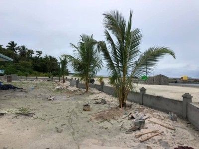 އެންގުމާ ޚިލާފަށް ކޮނޑެއަށް ދިޔަ މީހަކު ހައްޔަރުކޮށްފި