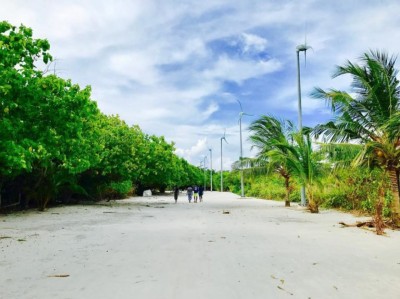 އުލިގަމުން ޕޮޒިޓިވްވި މީހާގެ 131 ކޮންޓެކްޓުން ހޯދިއްޖެ