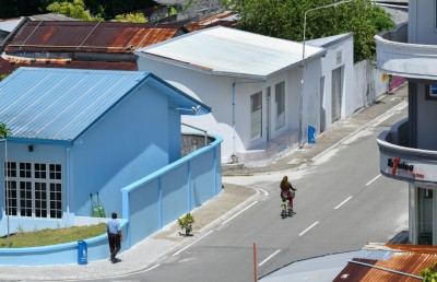 ދެއްވަދޫ ކްލަސްޓާ: ވިލިނގިލިން ކުއްޖަކު ކޮވިޑަށް ޕޮޒިޓިވްވެއްޖެ