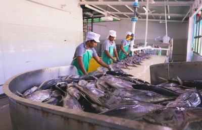 ކޫއްޑޫގައި ރަނގަޅު ސިއްހީ ނިޒާމެއް ގާއިމްކުރުމަށް ގޮވާލައިފި