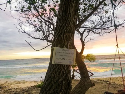 ނަރުދޫ ގަދަ ރޯގާއެއްގައި، އެންމެން ސަލާމަތަށް ބިރުން!