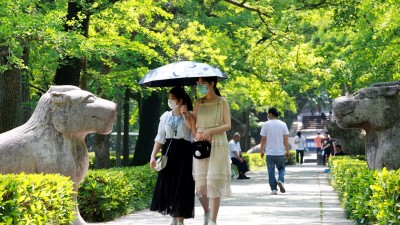 މޭޑޭގެ ޗުއްޓީ ތެރޭ ޗައިނާގައި ފަތުރުވެރިން 85 މިލިއަން ދަތުރުކޮށްފި