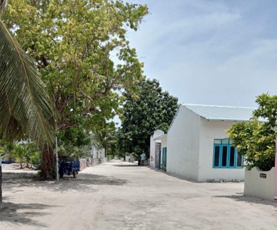 ނަރުދޫއިން ނެގި 41 ސާމްޕަލެއް ނެގެޓިވް، ކޮންޓެކްޓް ޓްރޭސިން އަދިވެސް ކުރިއަށް