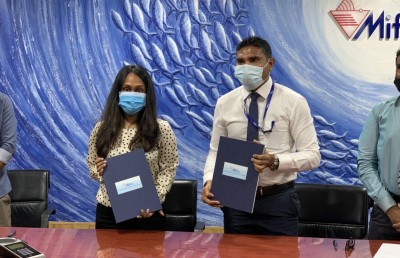 ޗަމްޕާ ބްރަދާސް އިން ހޯރަފުށީގައި އައިސްޕްލާންޓެއް ހަދަނީ