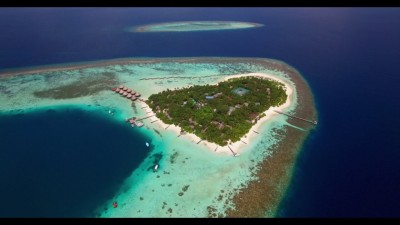 ކޮވިޑަށް ފަރުވާދޭ ޑޮކްޓަރަކާއި އެމްއެންޑީއެފް ކޮމާންޑަރެއް އެކަހެރިކޮށް ބައްދަލު ކުރި މައްސަލައެއް ފެންމަތިވެއްޖެ