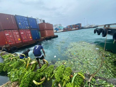 ފުނޑުފުނޑުވި ދޯނިން ދޫވި ތަކެތި ވެރިފަރާތާ ހަވާލުކުރުމުގެ މަސައްކަތް ފަށައިފި