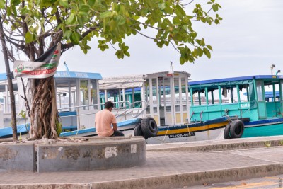 ވައިރަހުން ނަގައިދިން އެތައް ފިލާވަޅެއް