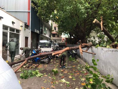 ވިއްސާރައިގައި މާލެއަށް 1.4 މިލިއަން ރުފިޔާގެ ގެއްލުން