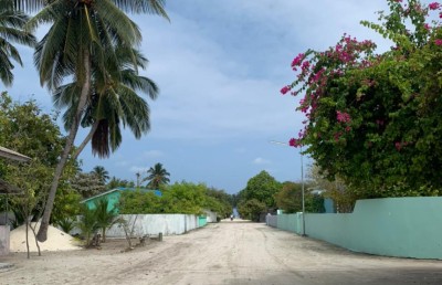 މާމެންދޫގައި މަސްތުވާތަކެއްޗާއި މާރާމާރީ އާއި ވައްކަމުގެ މައްސަލަ ބޮޑުވެފައި!