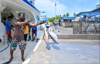 މަސް ކިރުވައިގެން ދޯންޏަކަށް އެއް ދުވަހުން 1.5 މިލިއަން ރުފިޔާ