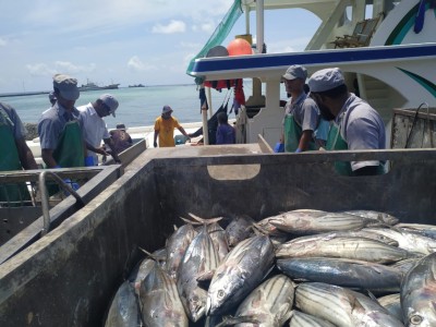 މަސް ބޭރުކުރަން އިތުރު މާކެޓްތައް ހޯދަނީ