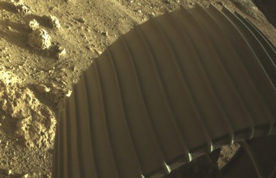 މާސް އުޅަނދުގެ ހިތްގައިމު ފޮޓޯތަކުން އުފާވެރިކަން