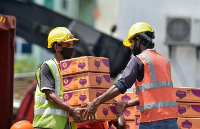 ހަ މަސް ތެރޭގައި ތަމްރީން ނުހަދާ މަޖޫރީންނަށް ފާސް ދޫނުކުރަން ނިންމައިފި