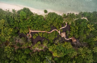 ކޮވިޑްގެ ބަލިމަޑުކަމުގެ ތެރެއިން ފައްކާވި ޑޮމެސްޓިކް ޓޫރިޒަމް