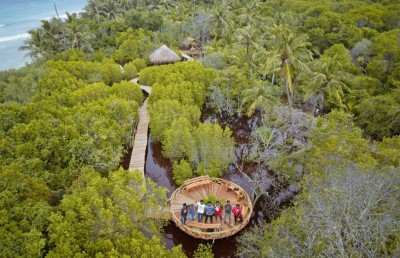 ކޮވިޑްގެ ބަލިމަޑުކަމުގެ ތެރެއިން ފައްކާވި ޑޮމެސްޓިކް ޓޫރިޒަމް